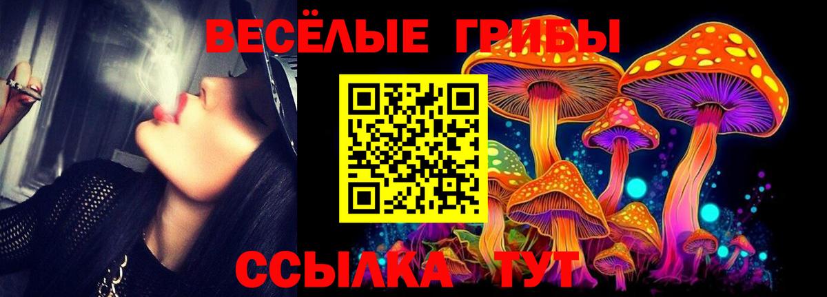 Псилоцибиновые грибы Psilocybine cubensis  Вход с VPN  Шали  Галлюциногенные грибы мухоморы 