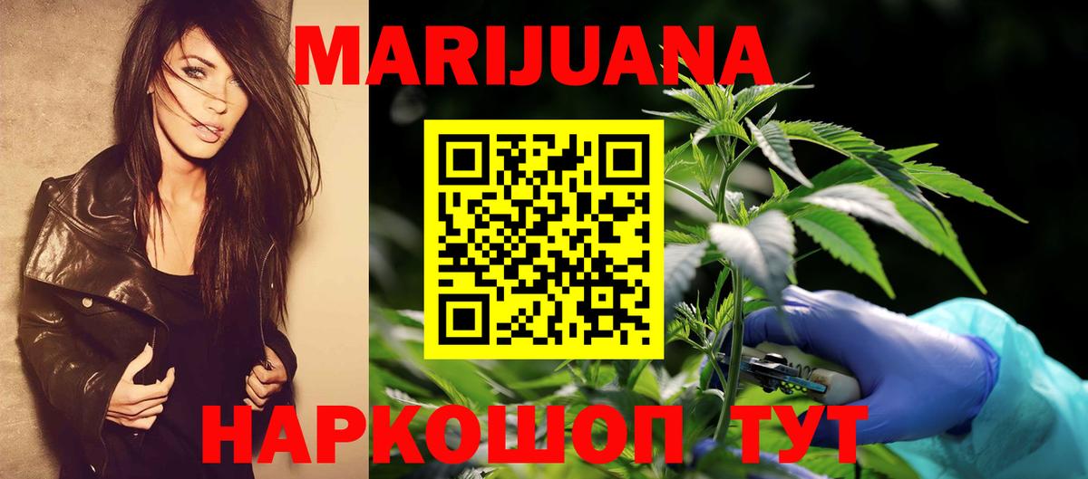 Каннабис планчик Шали
